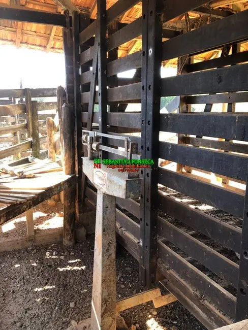 Foto 6 de Fazenda / Haras à venda, 90m2 em Jambeiro - SP