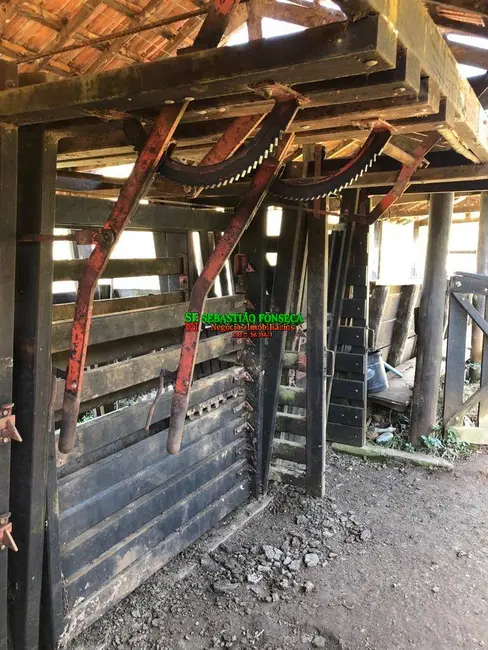 Foto 9 de Fazenda / Haras à venda, 90m2 em Jambeiro - SP