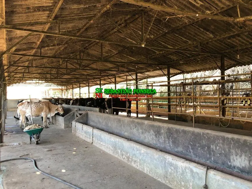 Foto 4 de Fazenda / Haras à venda, 90m2 em Jambeiro - SP