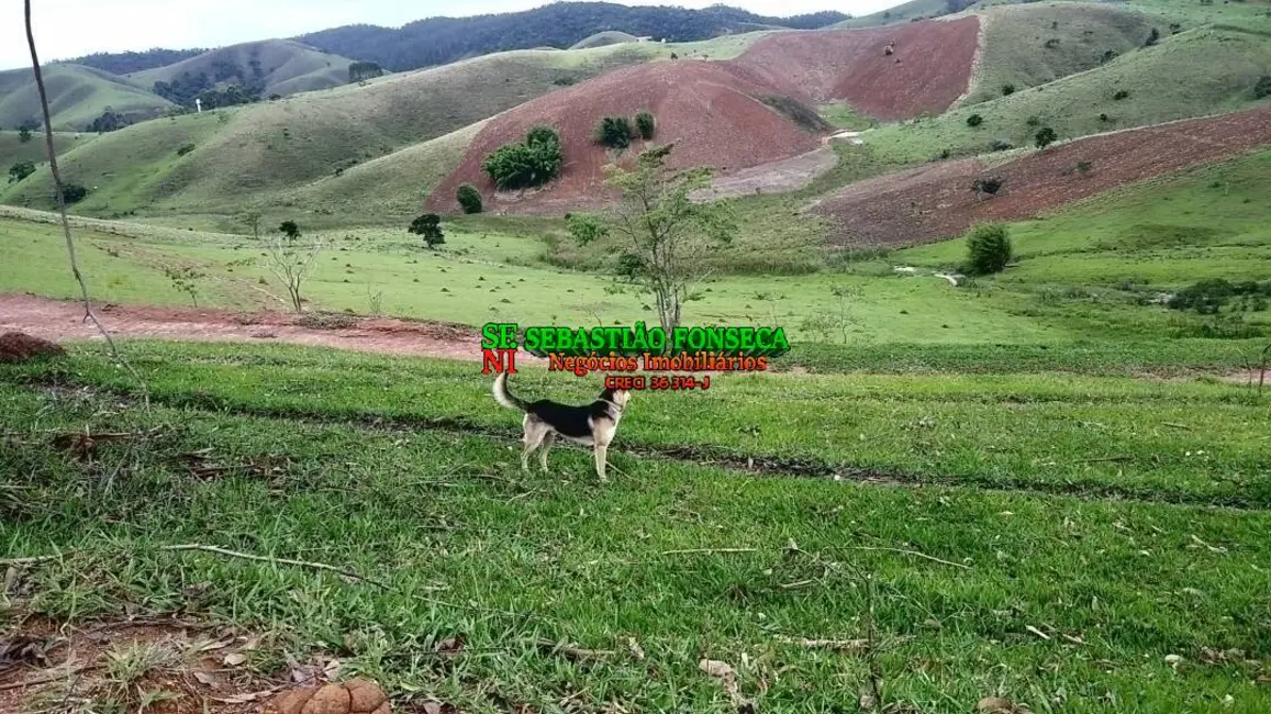 Foto 20 de Chácara à venda, 11m2 em Paraibuna - SP