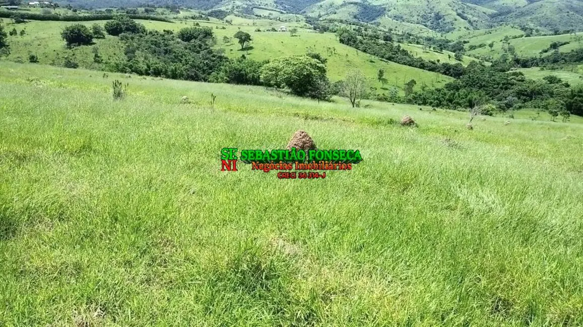 Chácara à venda, 490000m2 em Piedade, Cacapava - SP - imagem 9 Foto 9 de Chácara à venda, 490000m2 em Piedade, Cacapava - SP