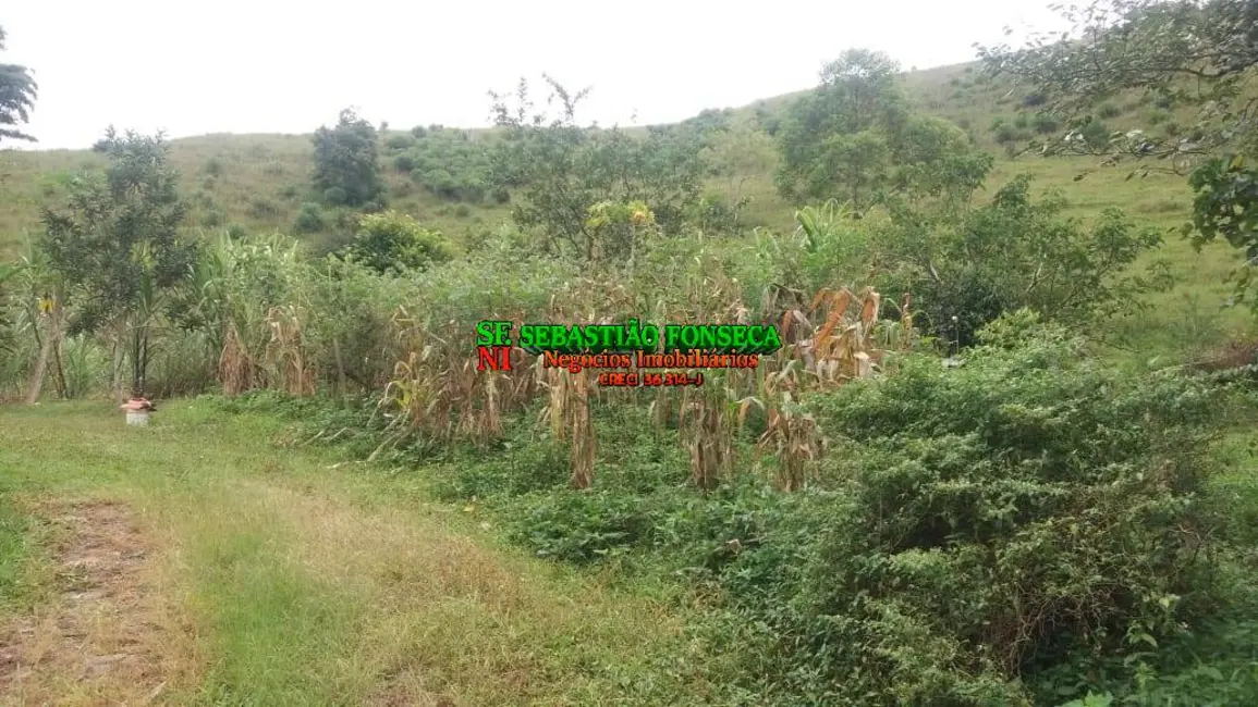 Foto 8 de Sítio / Rancho com 4 quartos à venda em Sao Jose Dos Campos - SP