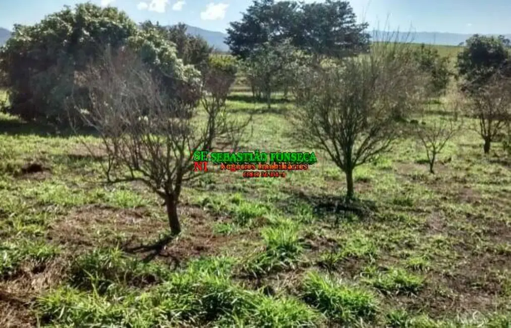 Foto 4 de Chácara à venda, 968000m2 em Centro, Cacapava - SP