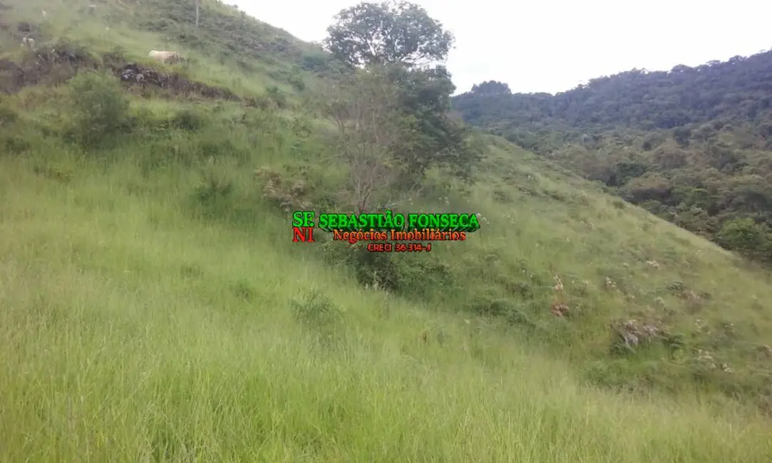 Foto 9 de Sítio / Rancho à venda, 484000m2 em Sao Jose Dos Campos - SP