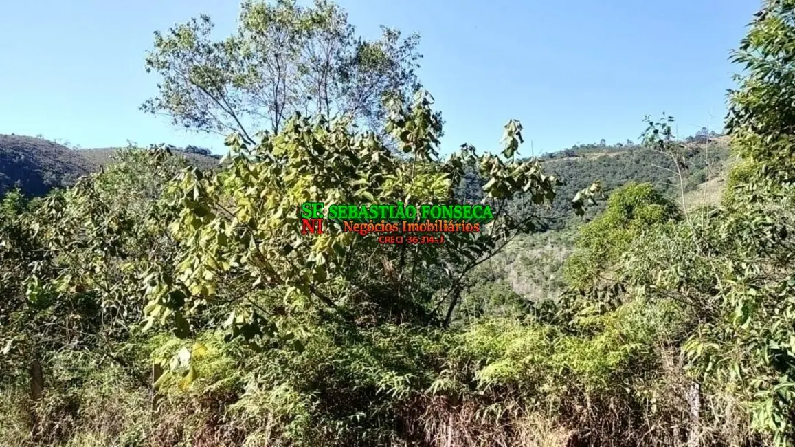 Foto 6 de Fazenda / Haras à venda, 20m2 em Centro, Monteiro Lobato - SP