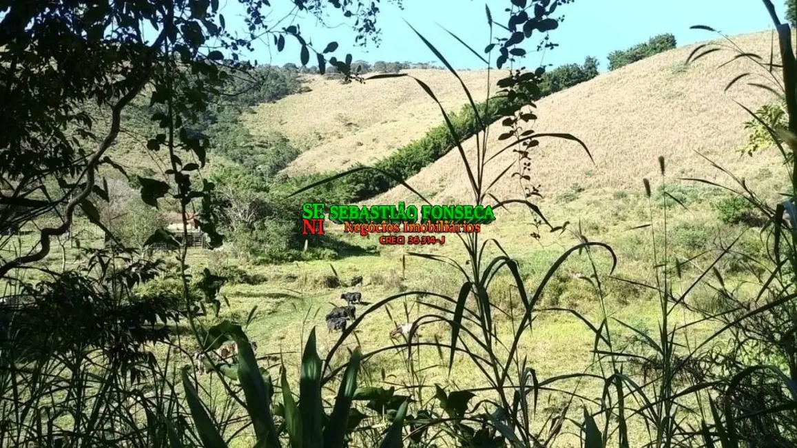 Foto 1 de Fazenda / Haras à venda, 20m2 em Centro, Monteiro Lobato - SP
