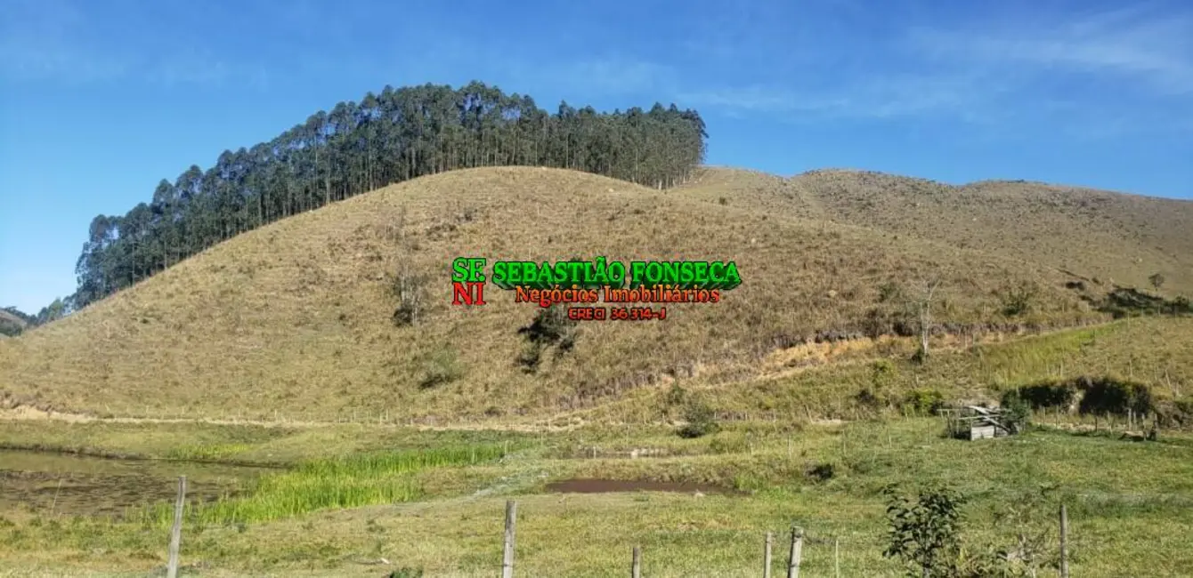 Foto 6 de Fazenda / Haras à venda, 190m2 em Centro, Sao Luiz Do Paraitinga - SP