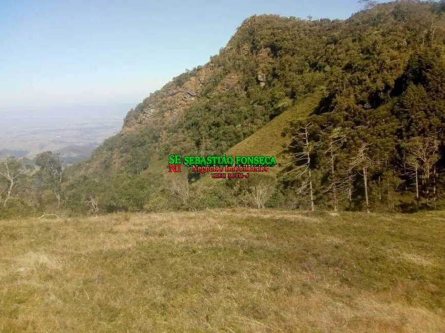 Sítio / Rancho à venda, 11m2 em Centro, Piquete - SP - imagem 6 Foto 6 de Sítio / Rancho à venda, 11m2 em Centro, Piquete - SP