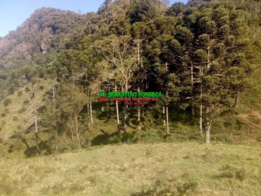 Sítio / Rancho à venda, 11m2 em Centro, Piquete - SP - imagem 7 Foto 7 de Sítio / Rancho à venda, 11m2 em Centro, Piquete - SP