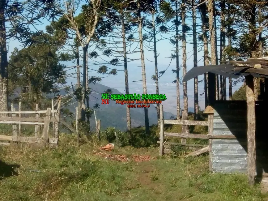 Sítio / Rancho à venda, 11m2 em Centro, Piquete - SP - imagem 9 Foto 9 de Sítio / Rancho à venda, 11m2 em Centro, Piquete - SP