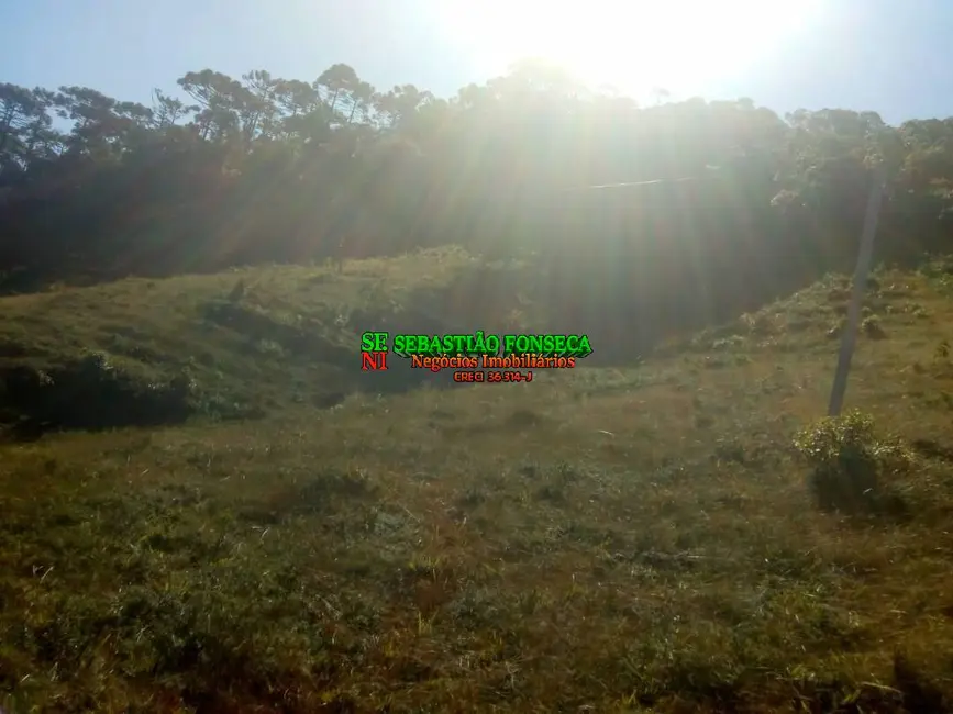 Sítio / Rancho à venda, 11m2 em Centro, Piquete - SP - imagem 5 Foto 5 de Sítio / Rancho à venda, 11m2 em Centro, Piquete - SP