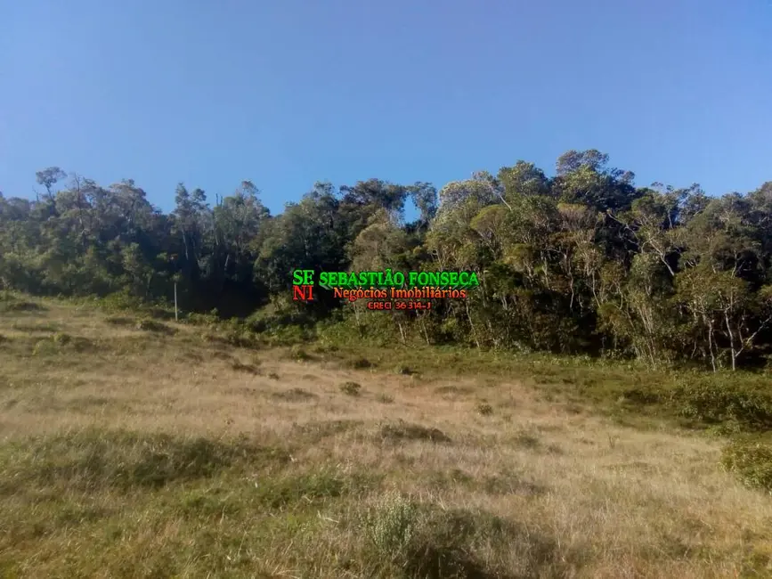 Sítio / Rancho à venda, 11m2 em Centro, Piquete - SP - imagem 4 Foto 4 de Sítio / Rancho à venda, 11m2 em Centro, Piquete - SP