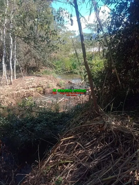 Foto 13 de Chácara à venda, 5000m2 em Centro, Virginia - MG