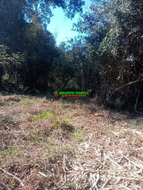 Foto 16 de Chácara à venda, 5000m2 em Centro, Virginia - MG