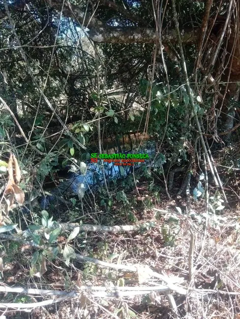 Foto 5 de Chácara à venda, 5000m2 em Centro, Virginia - MG