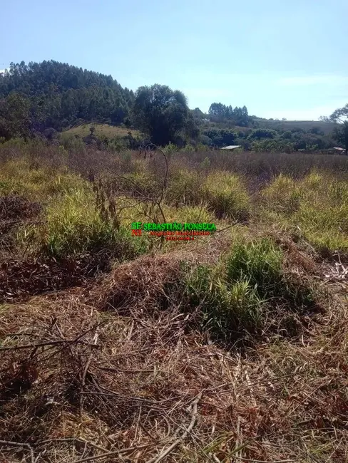 Foto 4 de Chácara à venda, 5000m2 em Centro, Virginia - MG