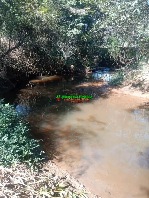 Foto 15 de Chácara à venda, 5000m2 em Centro, Virginia - MG