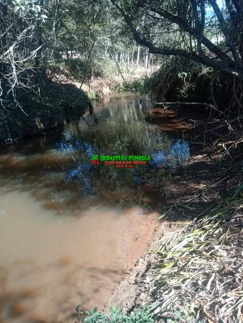 Foto 7 de Chácara à venda, 5000m2 em Centro, Virginia - MG