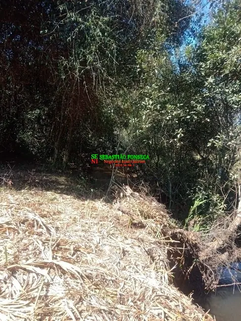 Foto 8 de Chácara à venda, 5000m2 em Centro, Virginia - MG