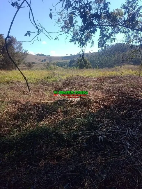 Foto 11 de Chácara à venda, 5000m2 em Centro, Virginia - MG