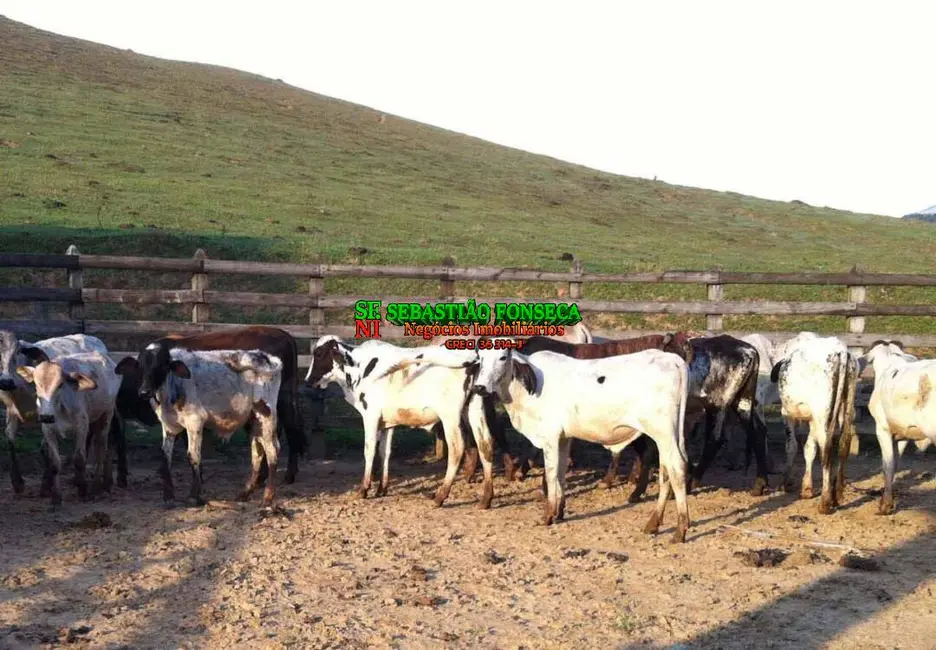 Foto 2 de Fazenda / Haras com 2 quartos à venda, 255m2 em Centro, Lorena - SP