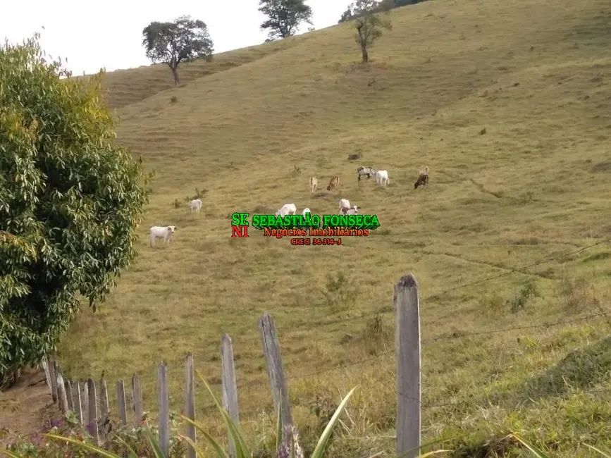 Foto 7 de Fazenda / Haras com 2 quartos à venda, 255m2 em Centro, Lorena - SP