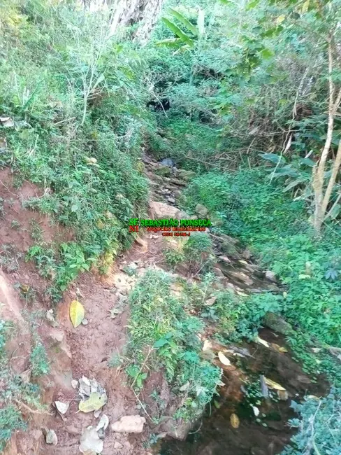 Foto 3 de Chácara à venda em Centro, Sao Thome Das Letras - MG