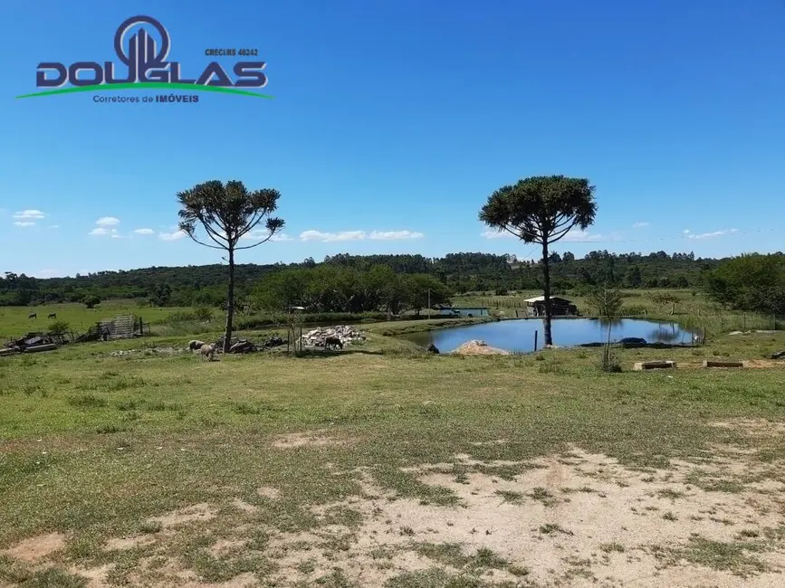 Foto 19 de Chácara à venda em Viamao - RS