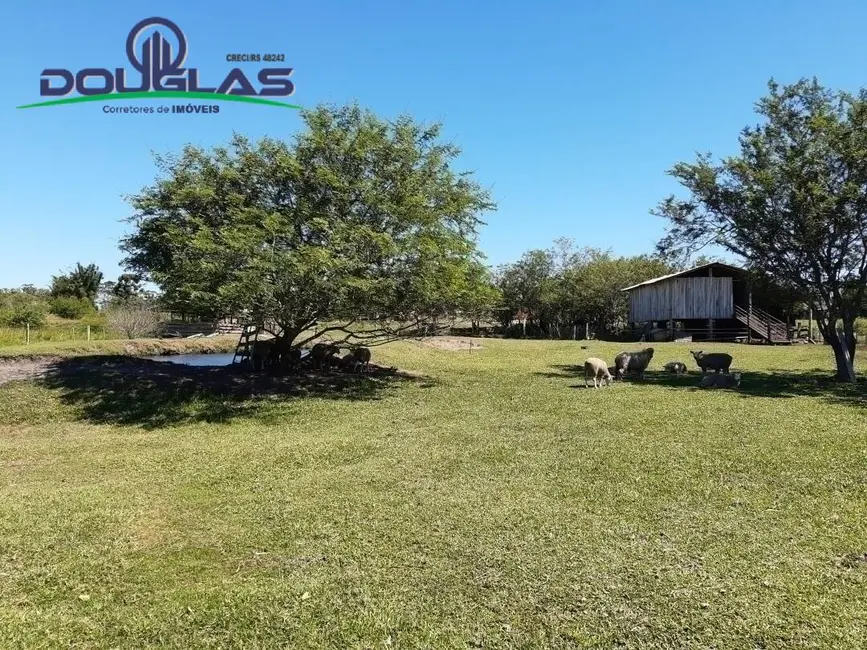 Foto 11 de Chácara à venda em Viamao - RS