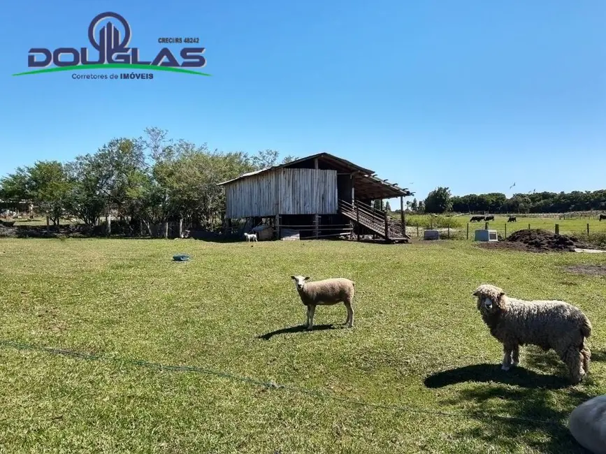 Chácara à venda em Viamao - RS - imagem 9 Foto 9 de Chácara à venda em Viamao - RS
