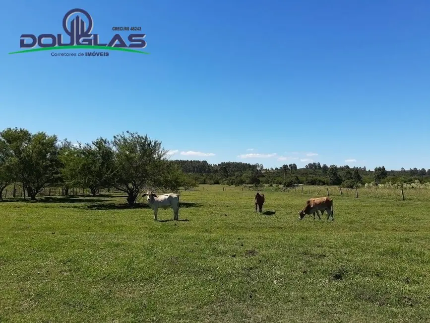Foto 12 de Chácara à venda em Viamao - RS