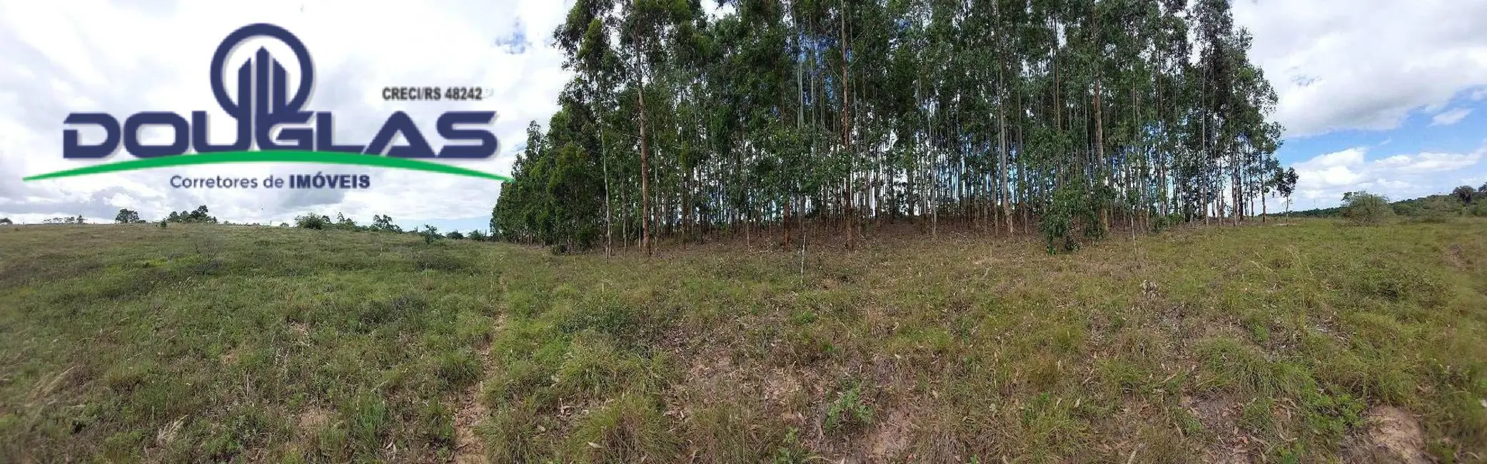 Foto 2 de Chácara à venda, 20000m2 em Viamao - RS