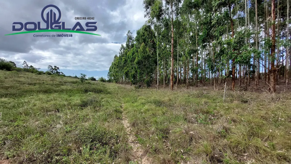 Foto 3 de Chácara à venda, 20000m2 em Viamao - RS