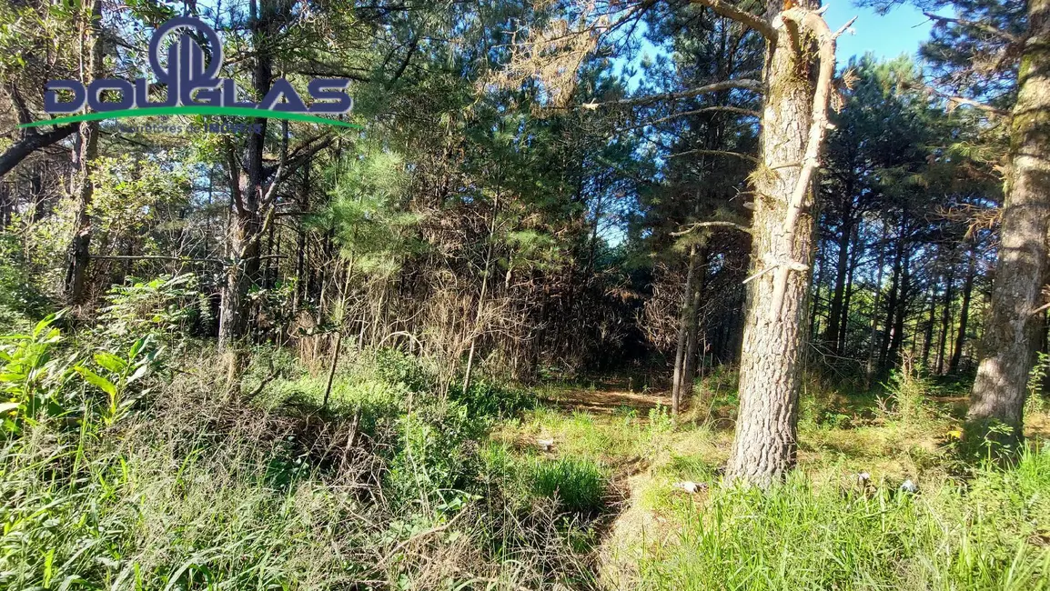 Terreno / Lote à venda, 3100m2 em São Tomé, Viamao - RS - imagem 3 Foto 3 de Terreno / Lote à venda, 3100m2 em São Tomé, Viamao - RS