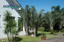 Imagem 4