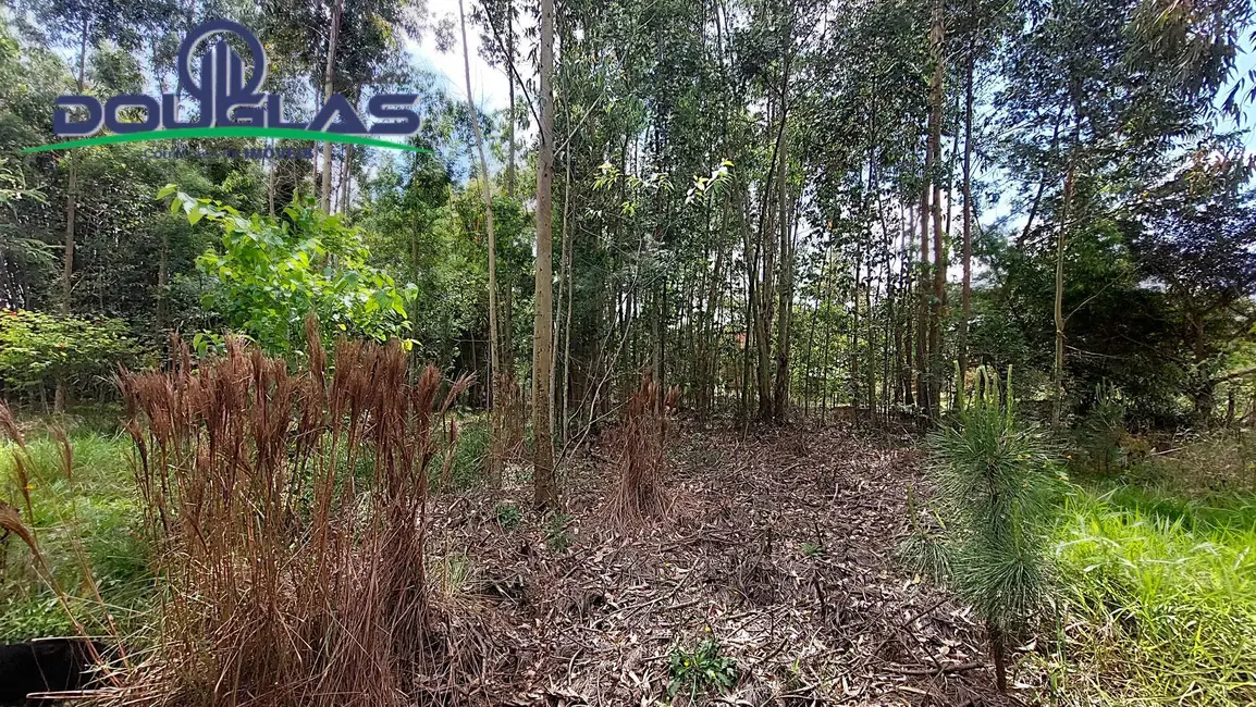 Foto 7 de Terreno / Lote à venda, 462m2 em Viamao - RS