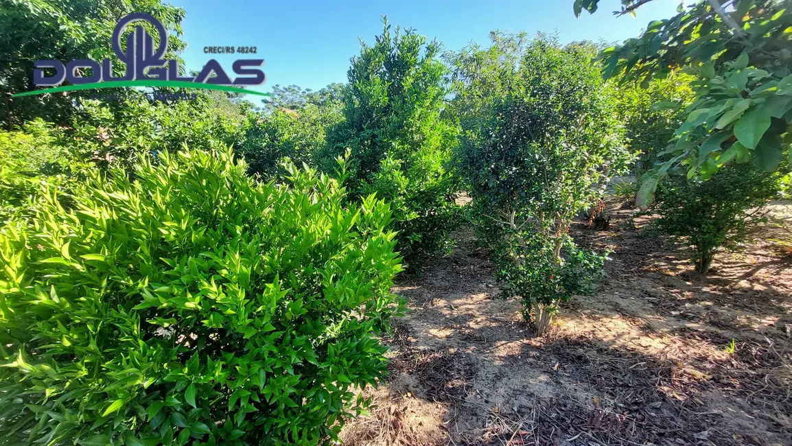 Foto 2 de Terreno / Lote à venda em Viamao - RS