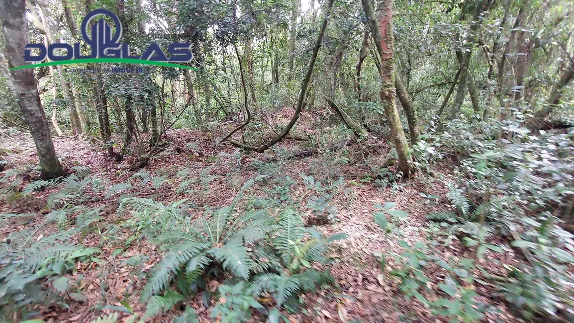 Foto 3 de Sítio / Rancho à venda, 20000m2 em Viamao - RS