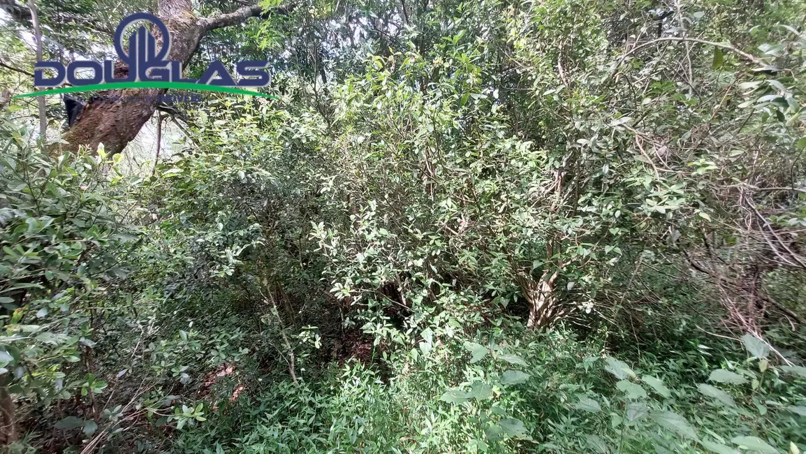 Foto 8 de Sítio / Rancho à venda, 20000m2 em Viamao - RS