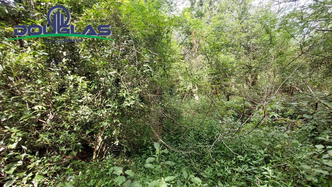 Foto 7 de Sítio / Rancho à venda, 20000m2 em Viamao - RS