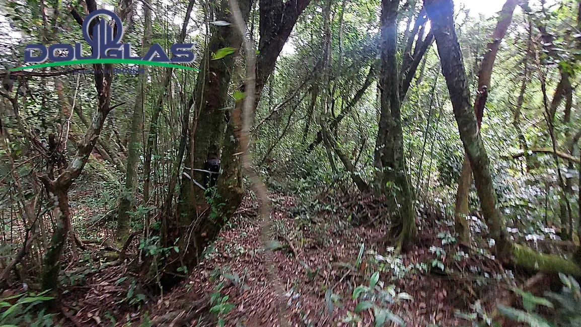 Foto 4 de Sítio / Rancho à venda, 20000m2 em Viamao - RS