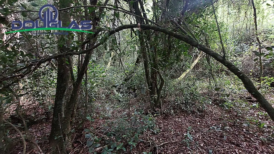 Foto 5 de Sítio / Rancho à venda, 20000m2 em Viamao - RS