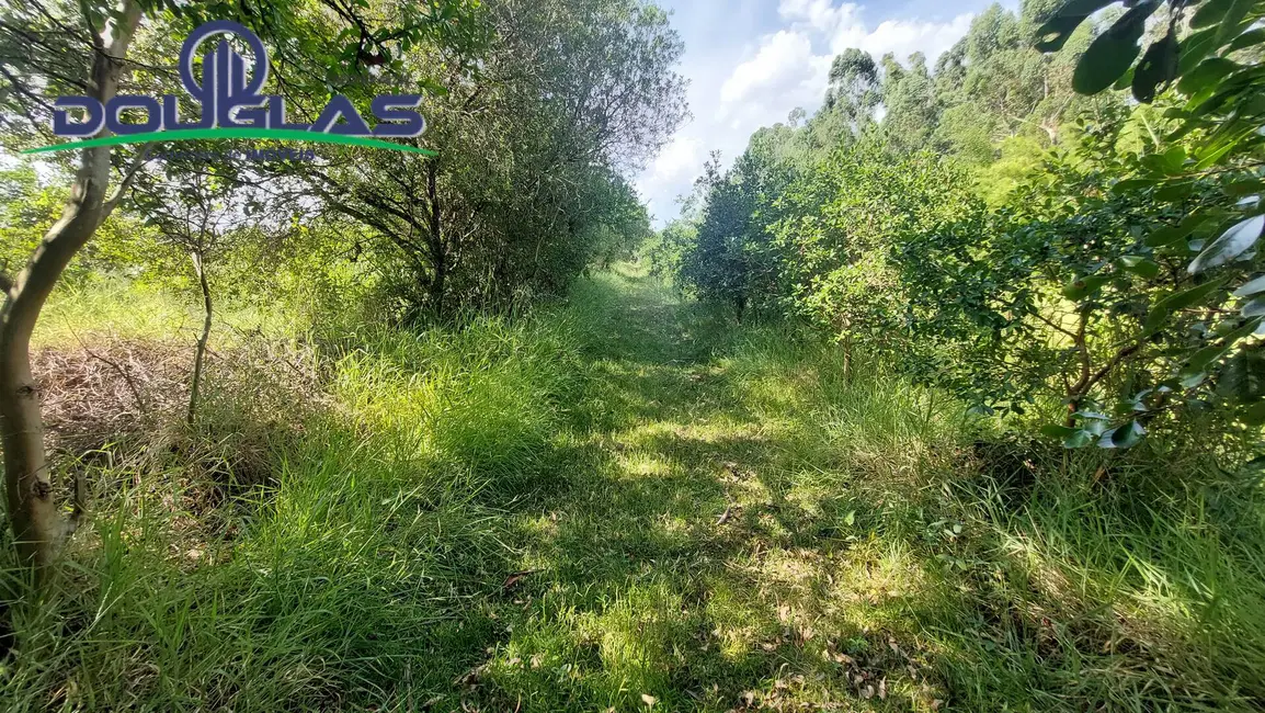 Foto 52 de Chácara à venda em Viamao - RS