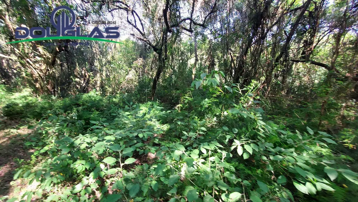 Foto 60 de Chácara à venda em Viamao - RS