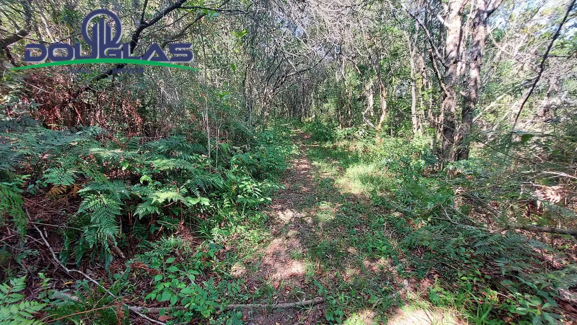 Foto 58 de Chácara à venda em Viamao - RS
