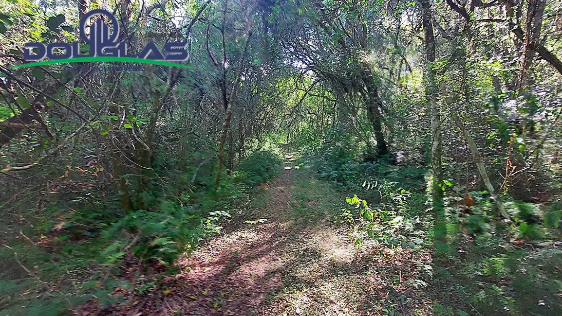 Foto 63 de Chácara à venda em Viamao - RS