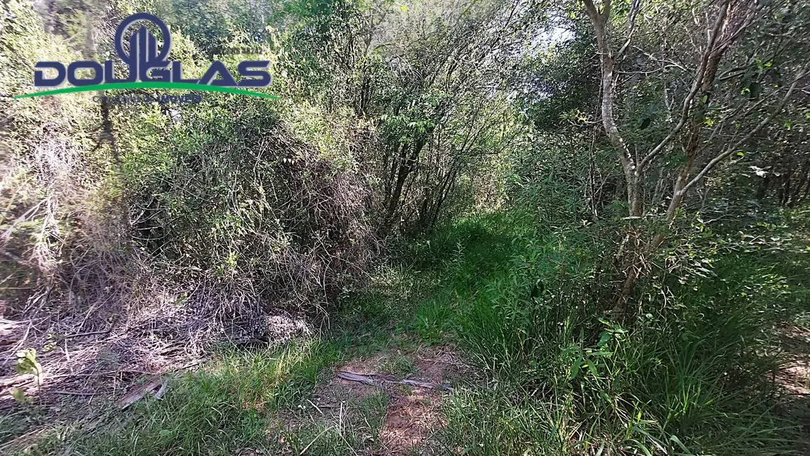 Foto 59 de Chácara à venda em Viamao - RS