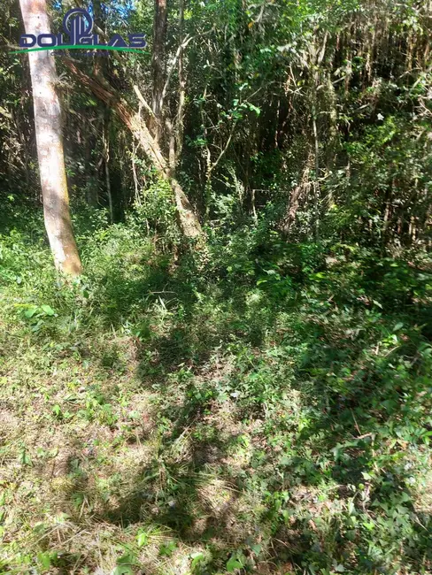 Foto 7 de Terreno / Lote à venda, 8000m2 em Viamao - RS