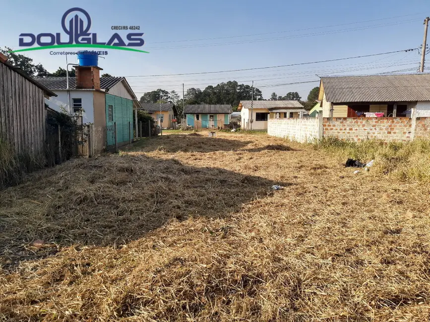 Foto 2 de Terreno / Lote à venda em Viamao - RS