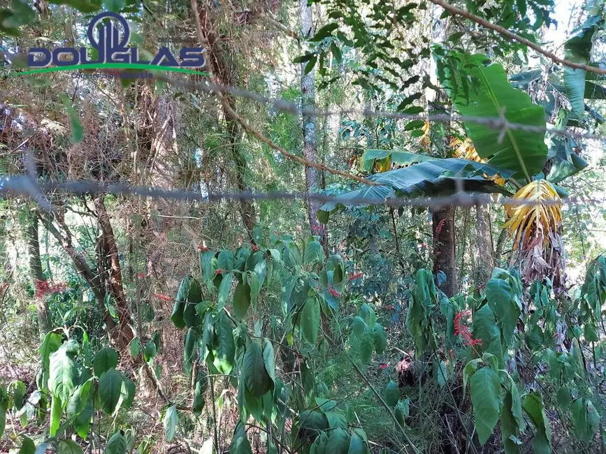 Terreno / Lote à venda, 600m2 em Viamao - RS - imagem 5 Foto 5 de Terreno / Lote à venda, 600m2 em Viamao - RS